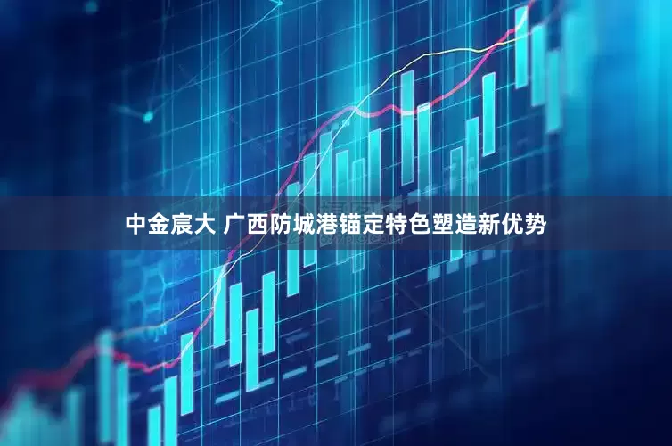 中金宸大 广西防城港锚定特色塑造新优势