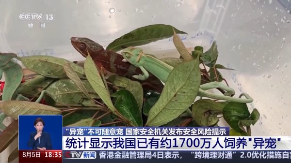 海越互赢 “异宠”不可随意宠 国家安全机关发布安全风险提示