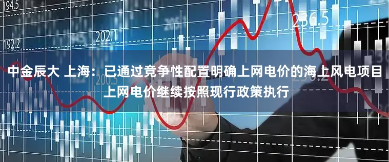 中金辰大 上海：已通过竞争性配置明确上网电价的海上风电项目 上网电价继续按照现行政策执行