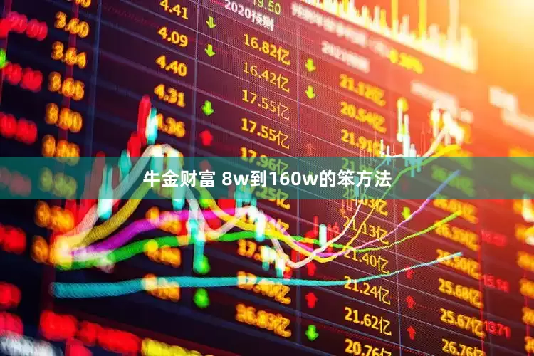 牛金财富 8w到160w的笨方法