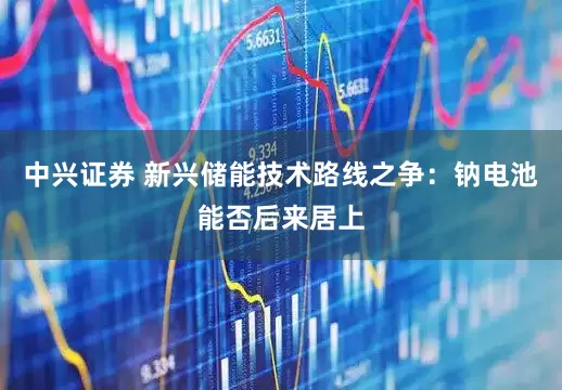 中兴证券 新兴储能技术路线之争：钠电池能否后来居上