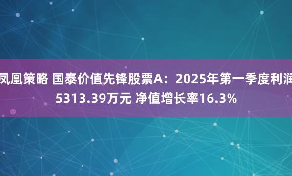 凤凰策略 国泰价值先锋股票A：2025年第一季度利润5313.39万元 净值增长率16.3%