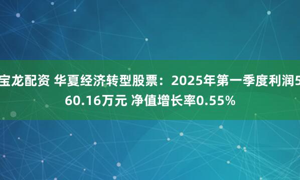 宝龙配资 华夏经济转型股票：2025年第一季度利润560.16万元 净值增长率0.55%